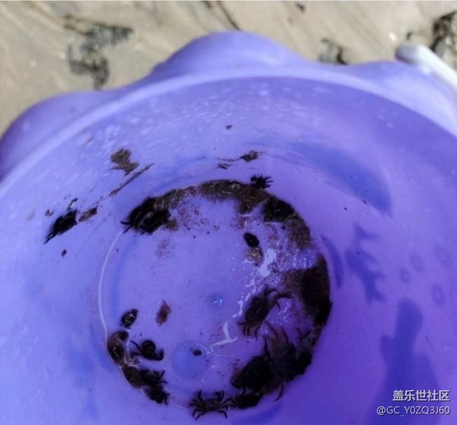 【畢業(yè)之旅】去看海