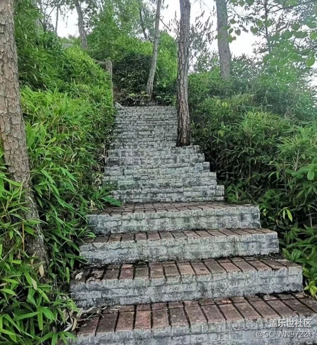 【雨過天晴】午后運動