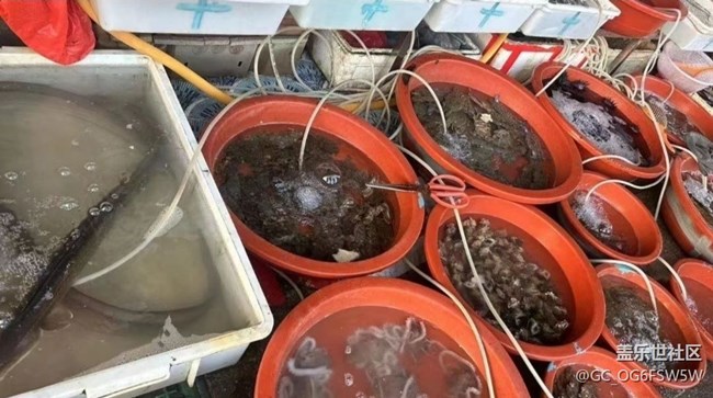 【雨過天晴】海貨