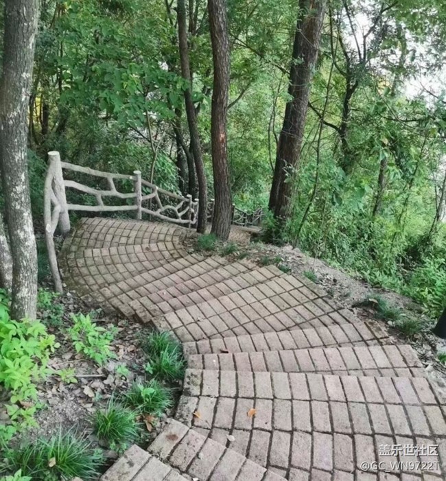 【雨過天晴】午后運動