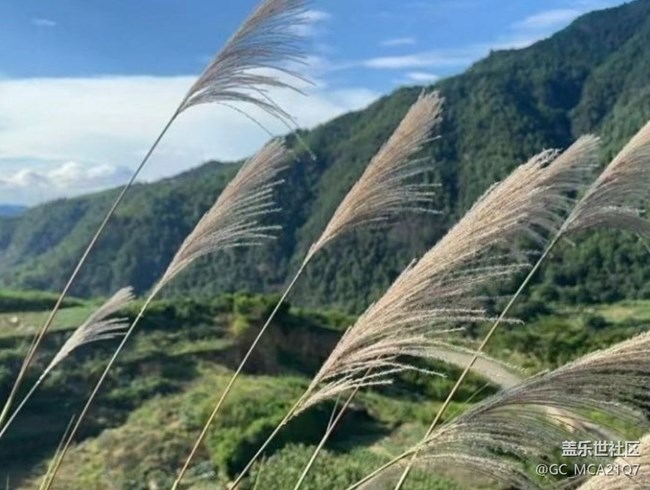 【光影之約】山里美景