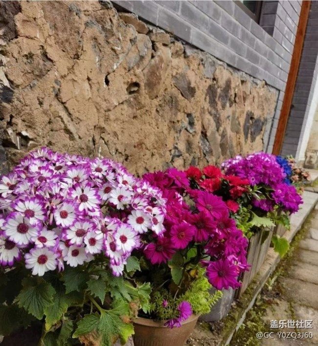 【雨過天晴】午后