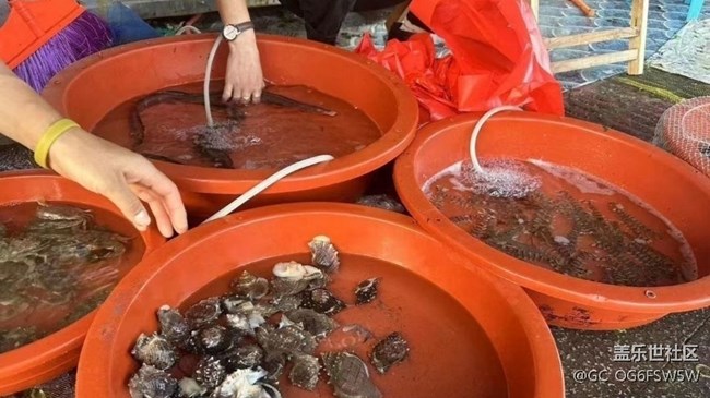 【雨過天晴】海貨