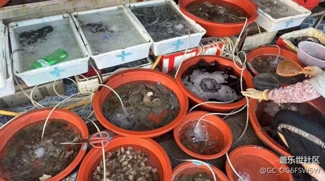 【雨過天晴】海貨