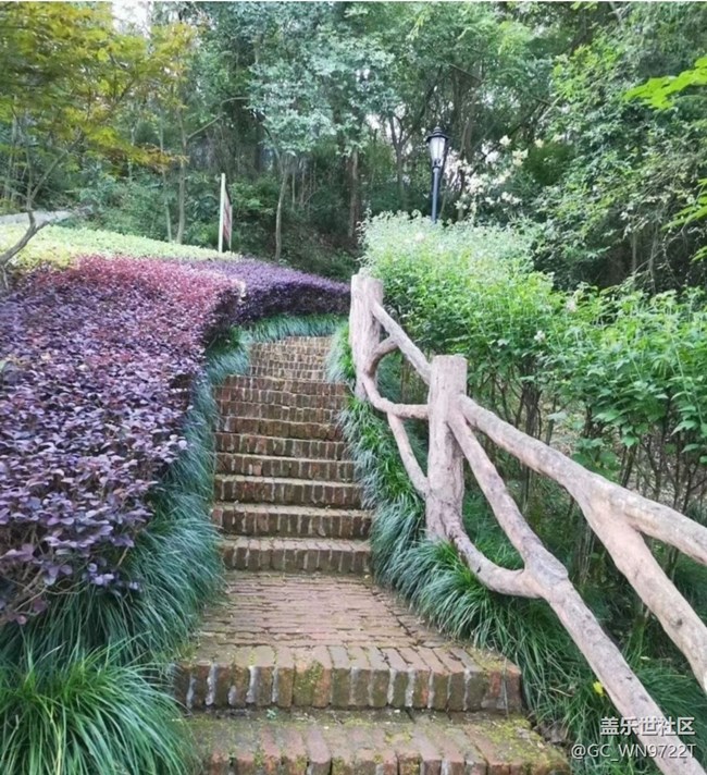 【雨過天晴】午后運動