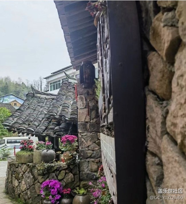 【雨過天晴】午后