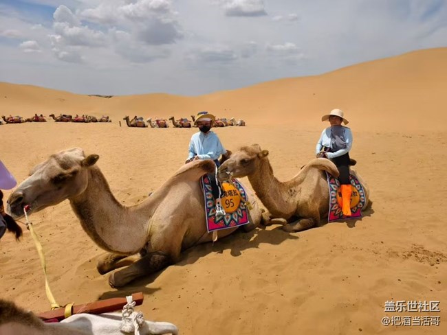 【畢業(yè)之旅】沙漠篇