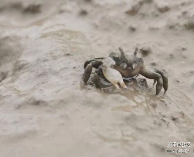 【雨過天晴】灘涂趕海