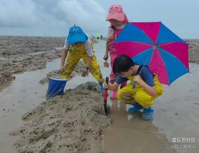 【雨過天晴】灘涂趕海