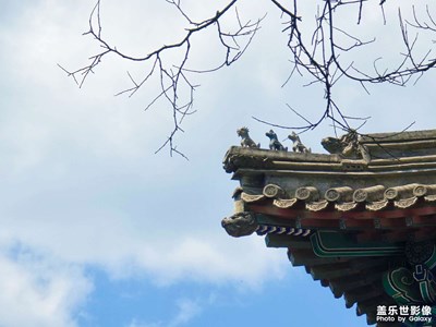 【尋蹤古韻】+法源寺