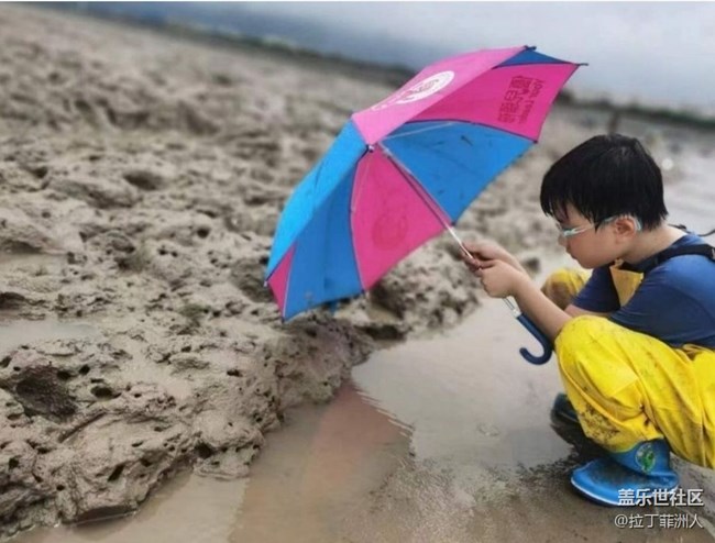 【雨過天晴】灘涂趕海