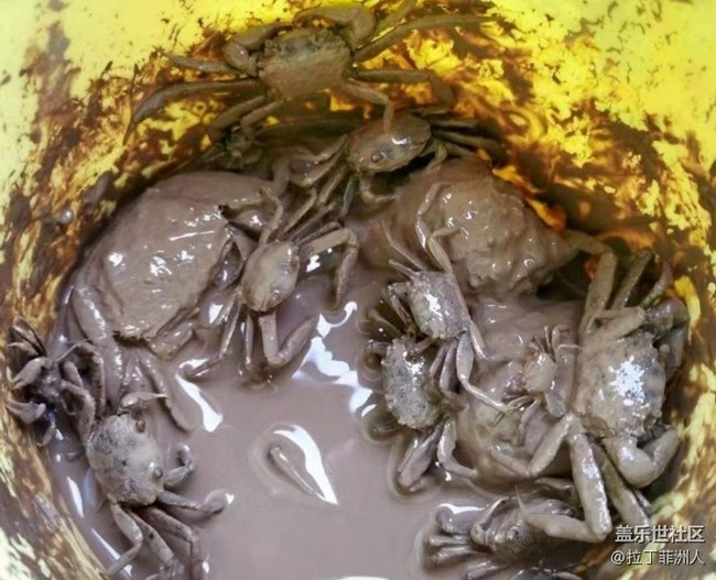 【雨過天晴】灘涂趕海