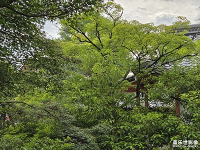 【?尋蹤古韻】+?夏日古韻