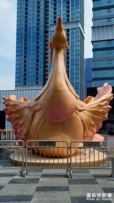 【?尋蹤古韻】現(xiàn)代都市的風(fēng)采