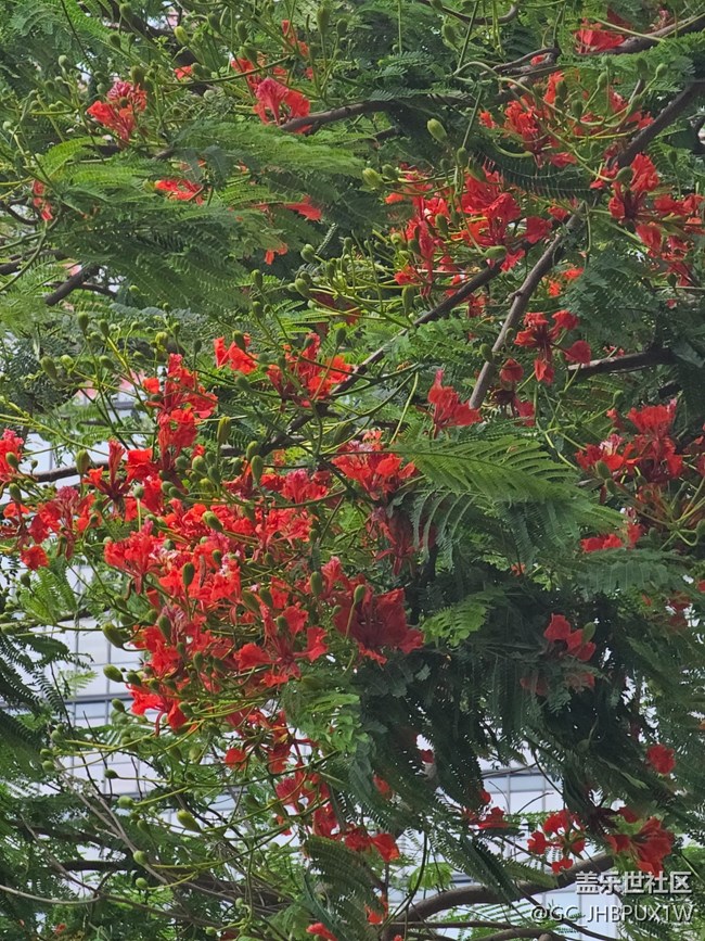 【畢業(yè)之旅】旅行