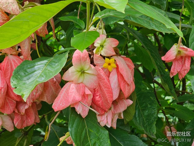 【畢業(yè)之旅】旅行