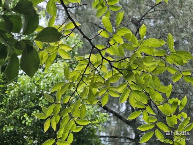 【畢業(yè)之旅】旅行