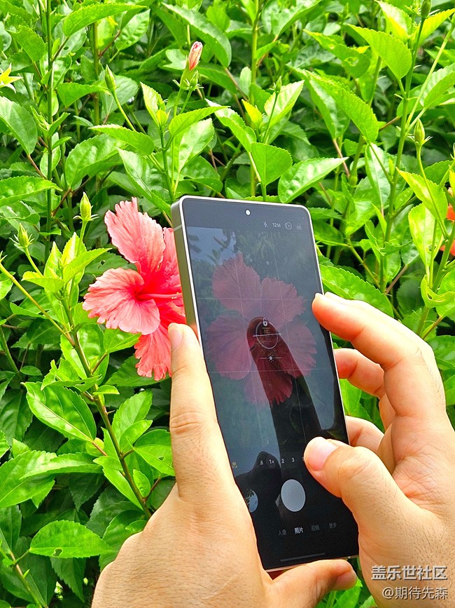 S25U評測+購買建議