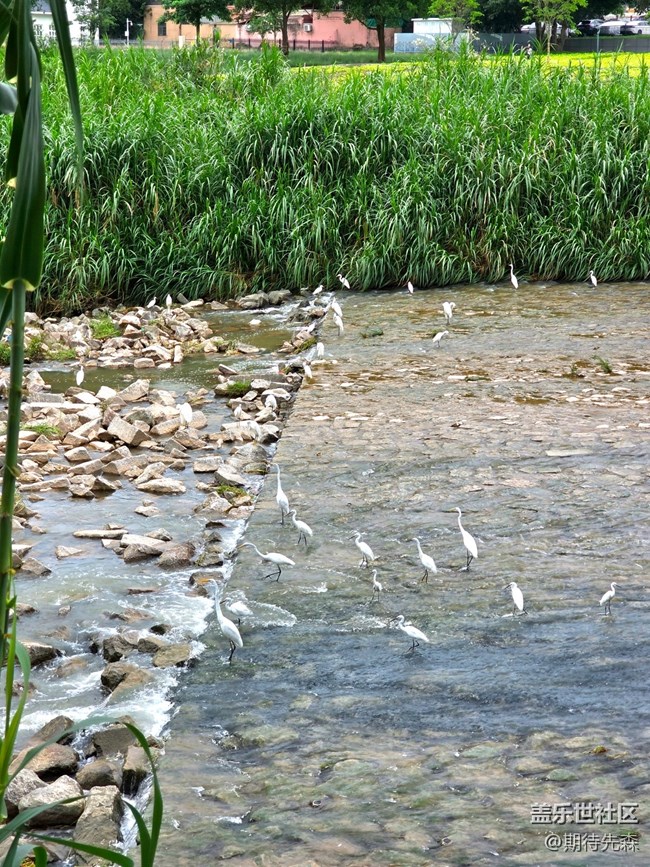 S25U評測+購買建議