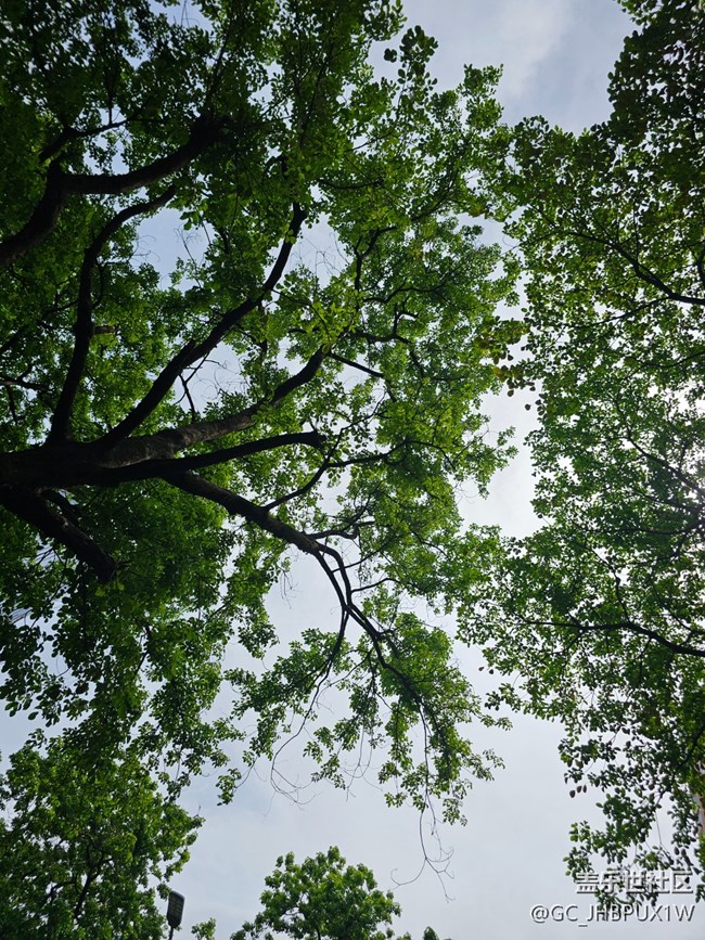 【畢業(yè)之旅】旅行