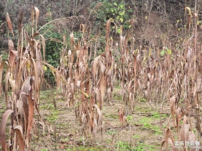 【?尋蹤古韻】+?回憶里