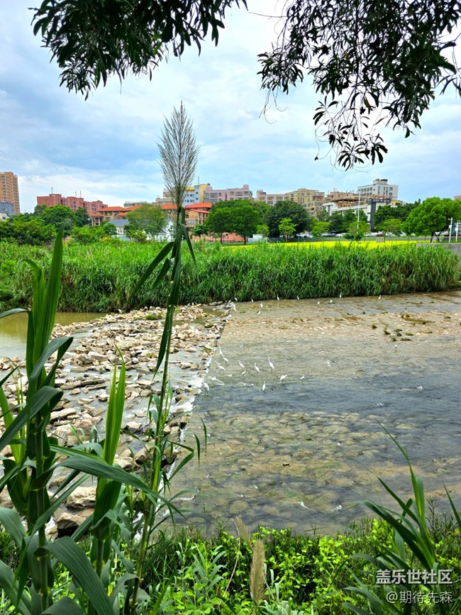 S25U評測+購買建議