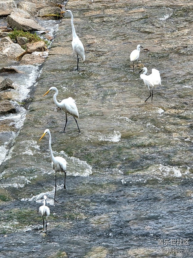 S25U評測+購買建議