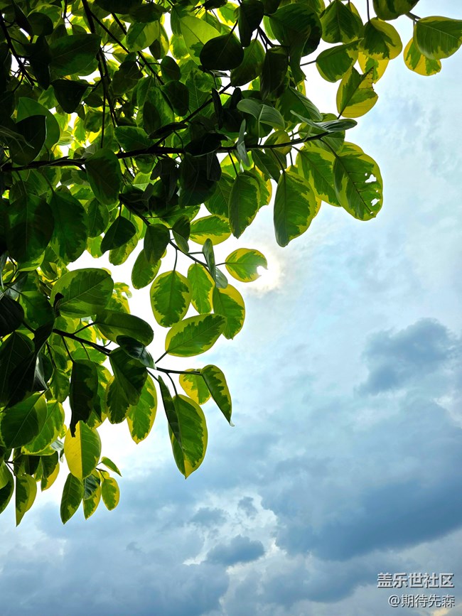 S25U評測+購買建議