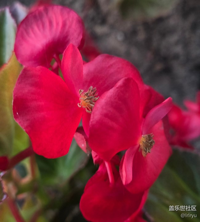 【仲夏調(diào)色盤】豐富的夏彩