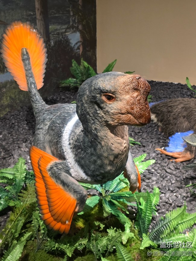 【恐龍化石展】武漢星部落活動總結(jié)帖