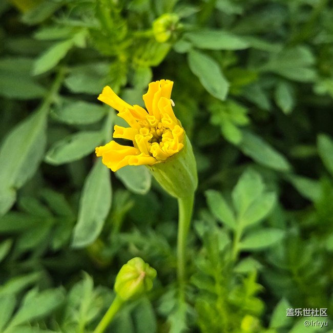 【仲夏調(diào)色盤】豐富的夏彩