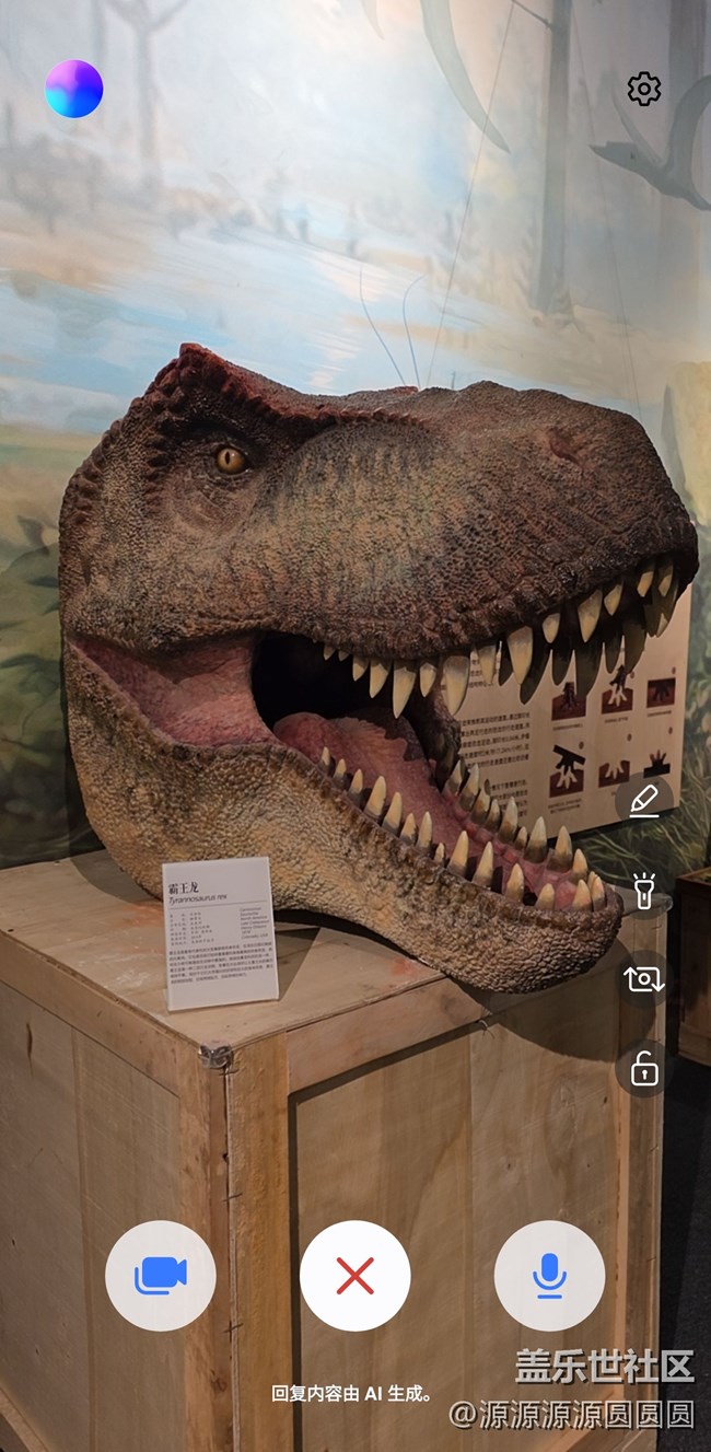 【恐龍化石展】武漢星部落活動總結(jié)帖