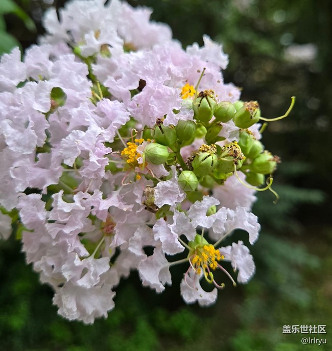 【仲夏調(diào)色盤】豐富的夏彩
