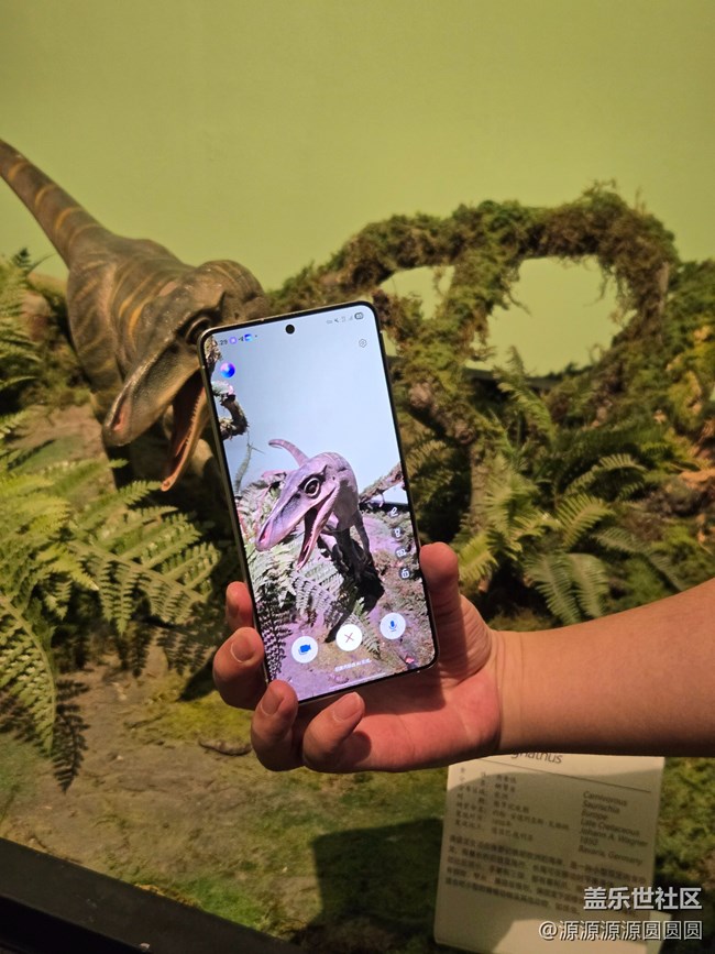 【恐龍化石展】武漢星部落活動總結(jié)帖