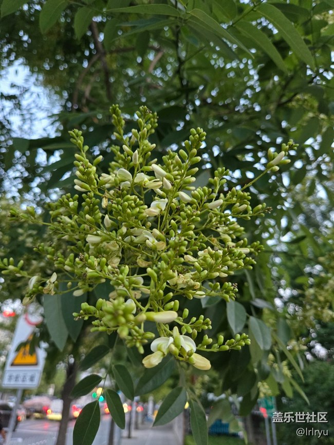 【仲夏調(diào)色盤】豐富的夏彩