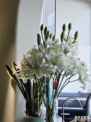 某些戒不掉的情緒價(jià)值