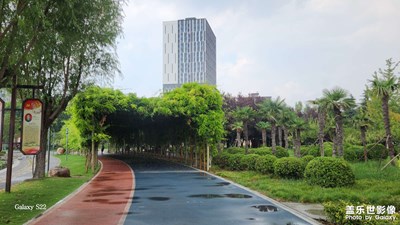 【 尋找靈感】+ 雨后公園