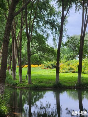 【 尋找靈感】尋找身邊的美好