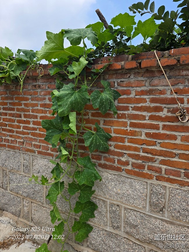 #星粉試用營#S25 三星Galaxy S25 Ultra評測:讓使用手機更簡單高效 #星粉試用營#S25 三星Galaxy S25 Ultra評測:讓使用手機更簡單高效