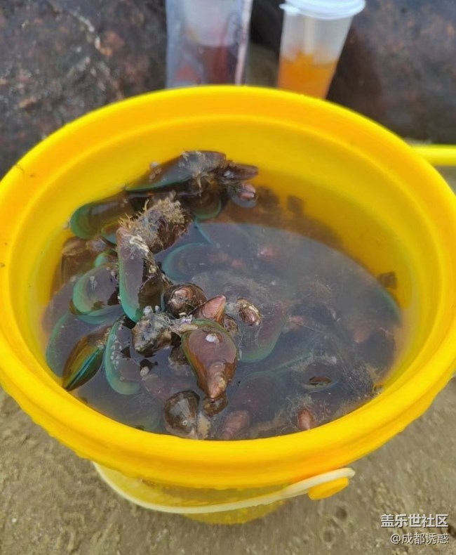 【光影之約】大海