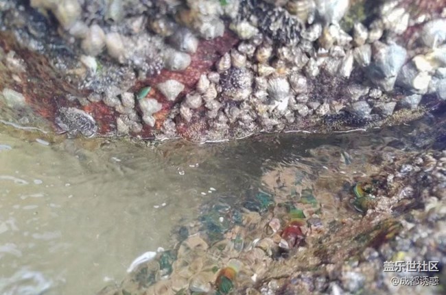 【光影之約】大海