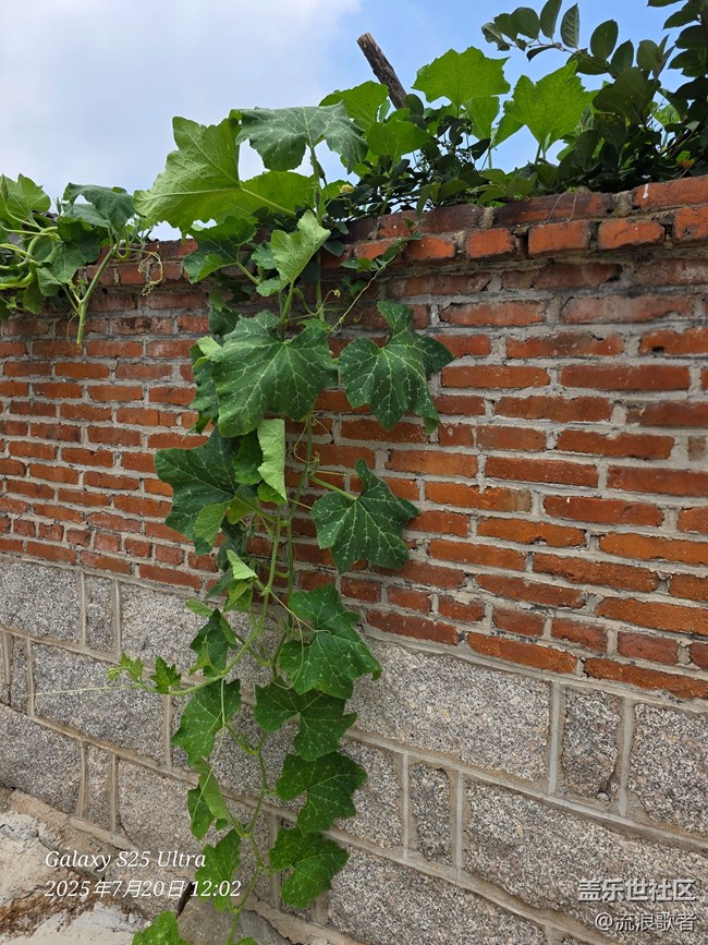 #星粉試用營#S25 三星Galaxy S25 Ultra評測:讓使用手機更簡單高效 #星粉試用營#S25 三星Galaxy S25 Ultra評測:讓使用手機更簡單高效