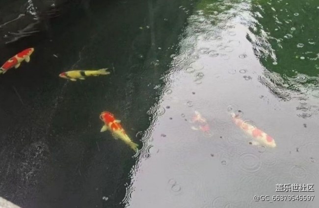 【雨過(guò)天晴】雨后