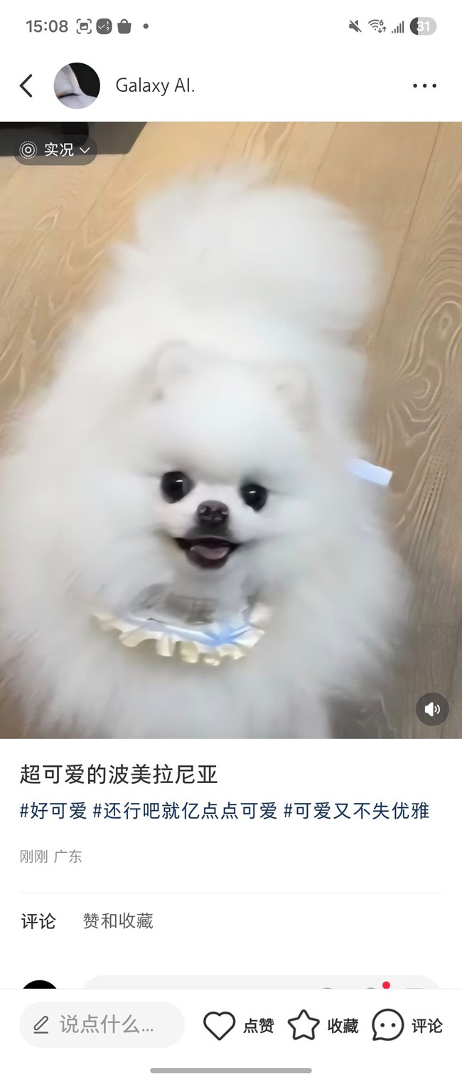 動(dòng)態(tài)照片社交平臺(tái)分享