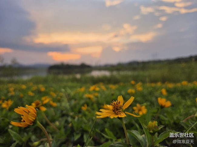 S25+試用體驗(yàn)