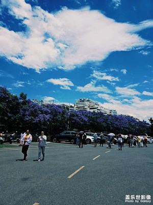 【尋找靈感】+旅途