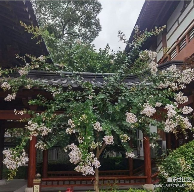 【雨過(guò)天晴】雨后