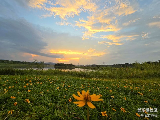 S25+試用體驗(yàn)