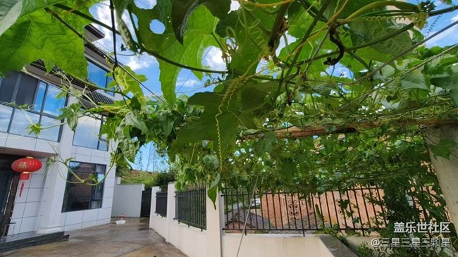 【光影之約】周末回家