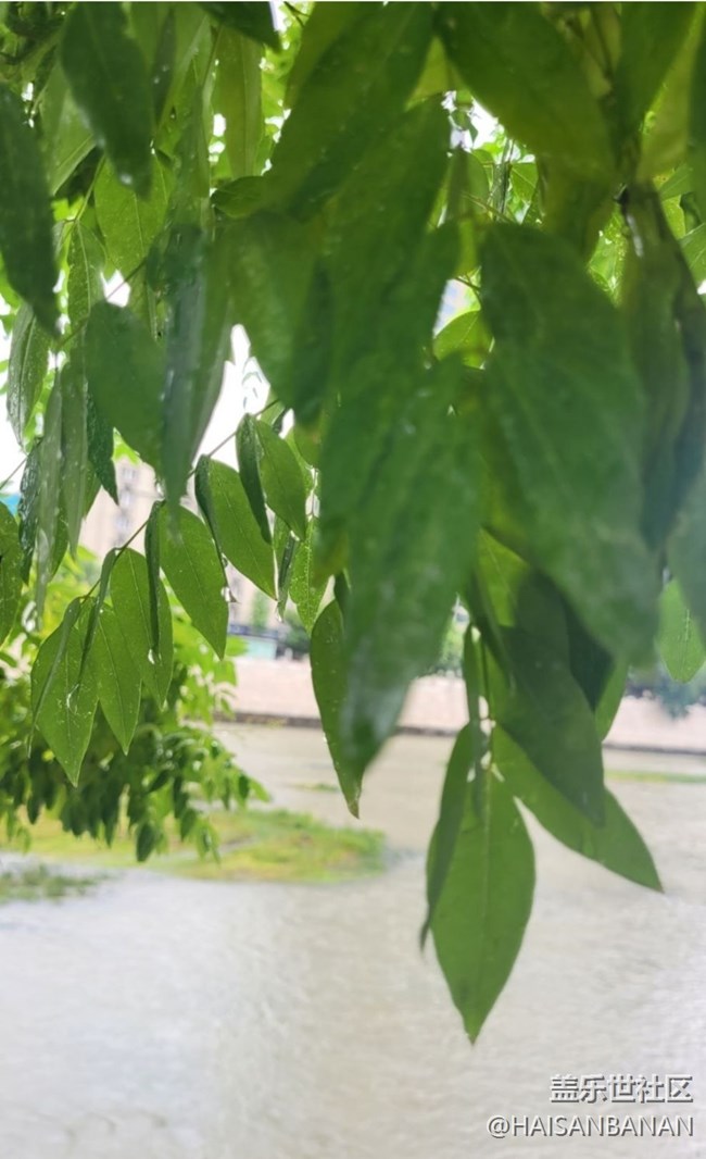 【雨過天晴】陰雨綿綿